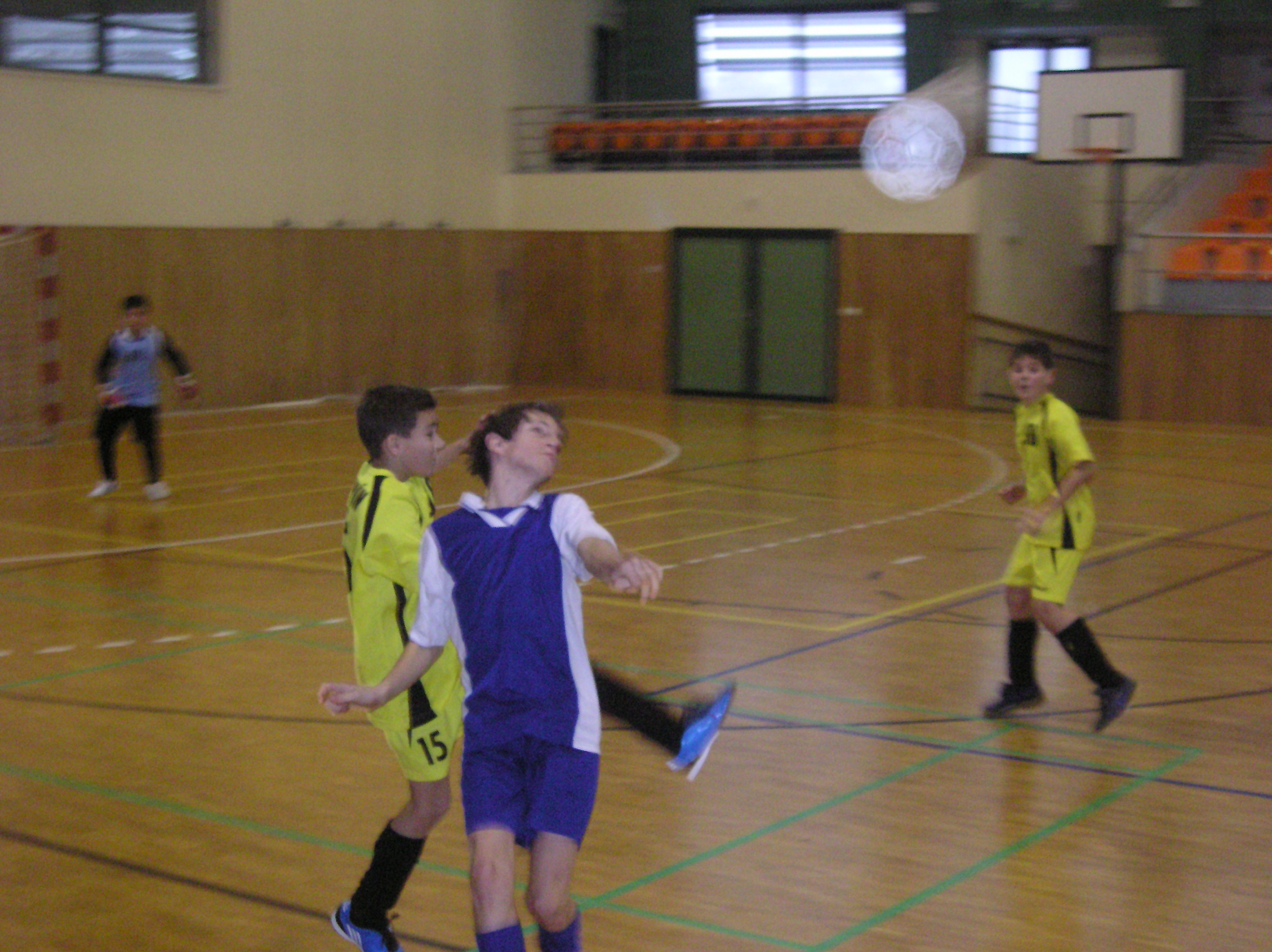 Trča